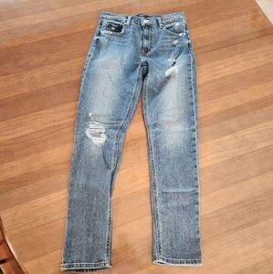 Hudson Lana Boyfriend Jeans Size 27